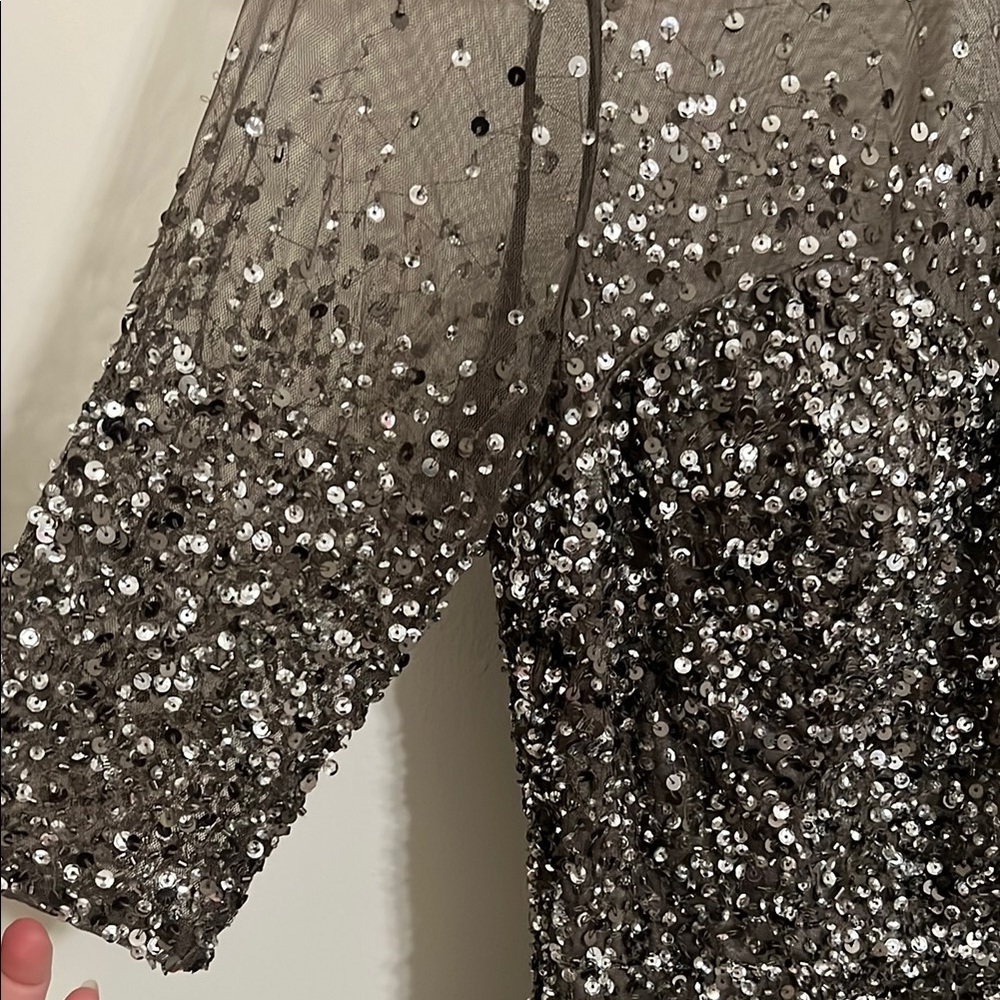 Adrianna Papell Silver Sequin Long Sleeve Mesh Dress - Picture 5 of 8